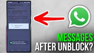 Can You See Old WhatsApp Messages After Unblocking Someone? Here's the Answer!