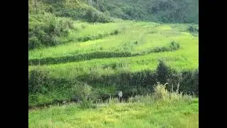 Real Pubg places. ❤️❤️❤️😂😂