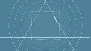 Feedback video