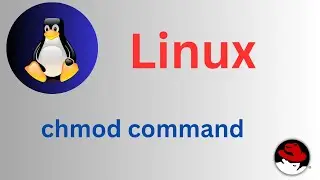 22/50 Basic Linux Commands |  chmod command Explained 