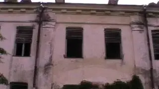 MOV041