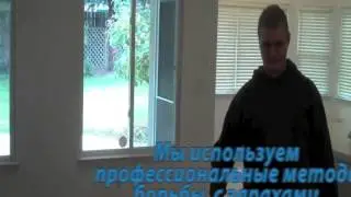 Устранение неприятных запахов (Дезодорация)