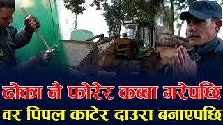 ढोका नै फोरेर कब्बा गरेपछि ! वर पिपल काटेर दाउरा | हरीयाली मासेर महायज्ञ गर्न खोजेपछि