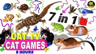 CAT GAMES CATCHING LIZARD MOUSE BIRDS STRINGS FROGS FISH & 🦋 BEST CAT TV COMPILATION 4K 8 HOURS