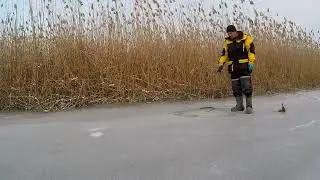 окушок