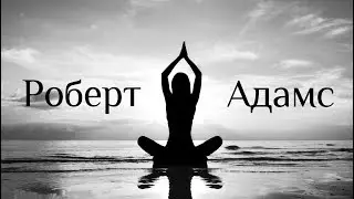 Роберт Адамс - Уберите стену. Сатсанг