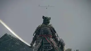ELDEN RING / я жив? [PS4]