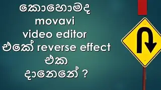 How to add reverse effect in movavi video editor