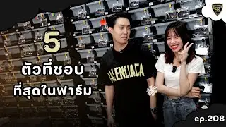 สาวๆชอบงูบอลแบบไหนกันนะ【 EP.208| 4K 】#realityballpython #ballpython