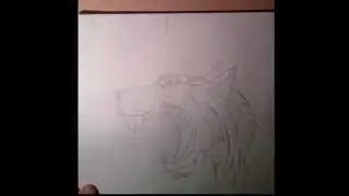 How to Draw a Wolf Head