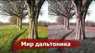 How colorblind person see the world | Briefly about color blindness! 