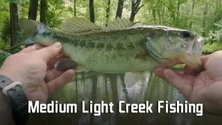 Creek Fishing (Ep. 5) | Medium Light and Ultra Light Outing