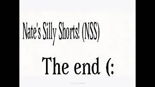 Happy new year! (NSS) (Ep.3)