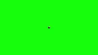 Green screen peluru 3 D