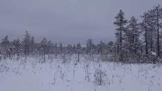 Архангельская область зима 2019
