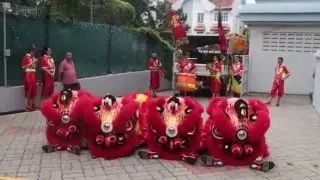 lion dance Chinese new year - Singapore