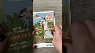 Лотерейный билет. В мире удачи
