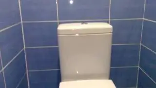 Бюджетный ремонт в туалете