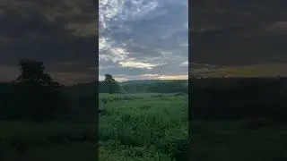 Утро на хуторе