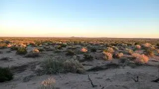 Arizona Backdoor Coyote Hunting Killshot with the Foxpro XWAVE