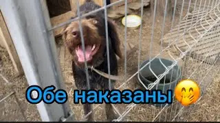 859❤️Лаврушечка пошла на поправку🙏Спасибо всем!!!