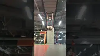 Hanging Leg Raise