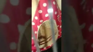 #sugarglider #sugargliderlover