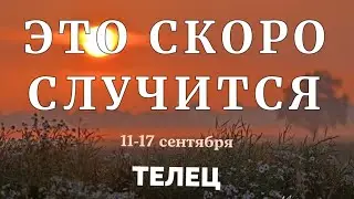 ТЕЛЕЦ 🍀 Прогноз на неделю (11.09-17.09 2023). Расклад от ТАТЬЯНЫ КЛЕВЕР. Клевер таро.