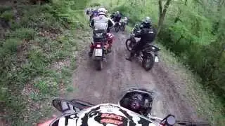 Fotorally 29 1