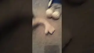 Old Russian School film of man beating up child and beat him up cuz they skip school and to the wall