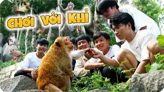 Tony | Lên Núi Thăm Khỉ Chúa 🐵