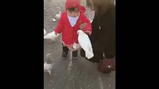 Kuşun Ağzından Yemeğini Alan Sevimli Çinli Bebek