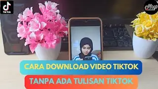 How to Download TikTok Videos Without the Latest TikTok Writing