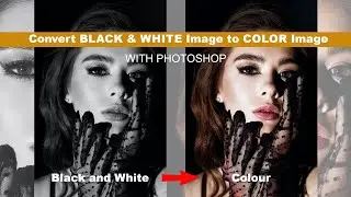 How to change Black & White photo to colour I Filters I Adobe Photoshop I Convert Photo