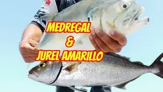 Éste señuelo, salvó el día de #pesca #fishing