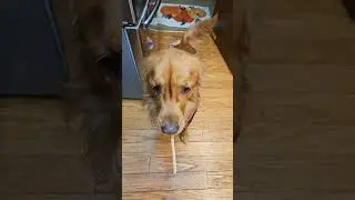 One Peanut Butter Pop, Please 