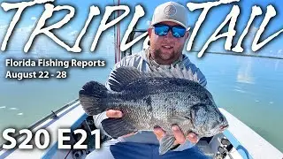 Learn How To Catch Tripletail and More in Florida!