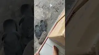 Pcb baru datang di markas labgurem
