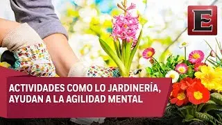¿Cómo influye la ciencia en nuestra vida diaria?