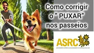 Desafio 10 em 7 - corrigir o passeio
