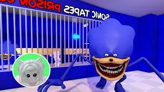 SONIC TAPES PRISON RUN! (SHIN) | Roblox Gameplay Walkthrough