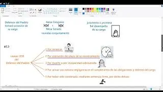 video 2 sobre el defensor del pueblo en España