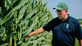 Harold Wolle, Farmer Minnesota (OCT 2 2023)