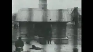 туман 6 1