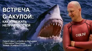 Акулы и прочие опасности для подводного пловца