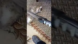 Дуся и пылесос.