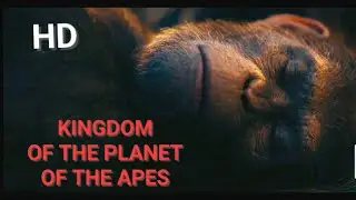 Caesar's Funeral Scene HD | KINGDOM OF THE PLANET OF THE APES 2024