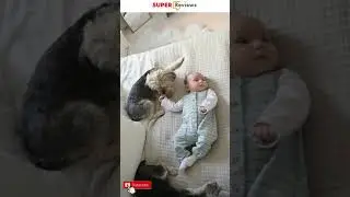 Baby Monitor for Twins [