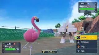 Wild Tera Run #5 | Pokémon Violet