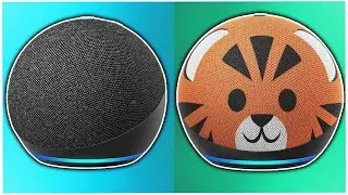 Best Echo Device You Should Buy